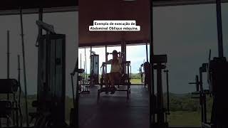 Exemplo de execução de abdominal oblíquo máquina profissionaldeeducaçãofísica fitness treino [upl. by Sirtimed]