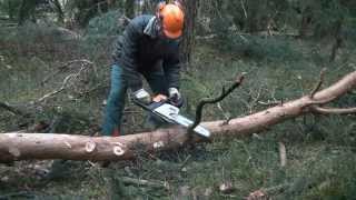 Stihl MS 211 Motorsäge Kaltstart u arbeiten am liegenden Holz chainsaw cold start delimbing trees [upl. by Nazus837]