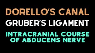 Intracranial course of abducent nerve Dorellos canal Grubers ligament [upl. by Josephine]