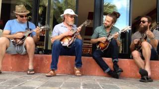 Strings amp Sol 2014  Impromptu 5pc Mandolin Jam [upl. by Ariahay]