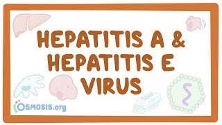 Hepatitis A and hepatitis E virus  causes symptoms diagnosis treatment pathology [upl. by Sherfield773]