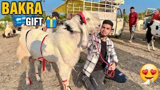 BAKRA mila GIFT main 😍 BHOPAL BAKRA MANDI VLOG  AL AAMIR KHAN [upl. by Peppy]