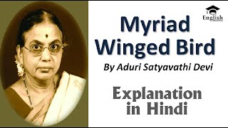 Summary of Myriad Winged Bird by Aduri Satyavathi Devi  Poem Summary in Hindi [upl. by Anitnatsnoc119]