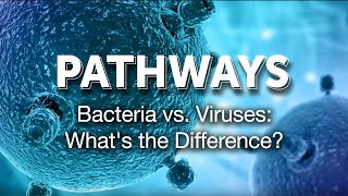 Pathways Bacteria vs Viruses Whats the Difference [upl. by Idissac]