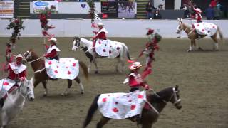 Equiine Affaire 2014 Fantasia  Canadian Cowgirls [upl. by Marguerita]