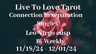 ♌️ Leo ♍️ Virgo cusp love reads❤️Are you destined for each other❤️ [upl. by Anelaj]