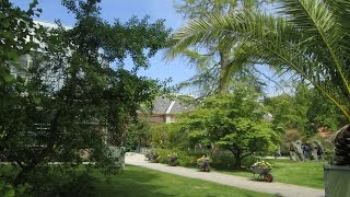 Leiden  Hortus Botanicus Leiden  de oudste botanische tuin van Nederland door Catherine Boone [upl. by Faruq]