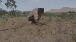 Climate Change in Bolivia [upl. by Lardner]