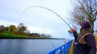 Pier Fishing ENORMOUS Lake Michigan TROUT  MONSTER BYCATCH [upl. by Glyn181]