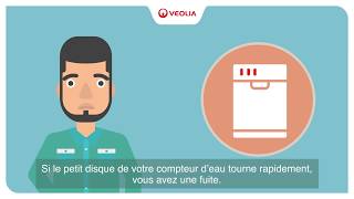 Veolia  comment détecter facilement une fuite deau [upl. by Ricker190]