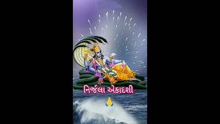 dhanya ekadashi 🌺shortsviral shri vishnu [upl. by Eselrahc]