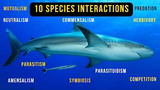 10 Species Interactions in Ecosystem with ExamplesEcology 6 Minutes [upl. by Zetrauq851]