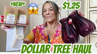 DOLLAR TREE HAUL  NEW  TRY NEW FOOD FINDS  BRAND NAME ITEMS [upl. by Hada571]