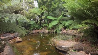 Amazing Plant Collections at this Australian Botanic Garden [upl. by Coveney]