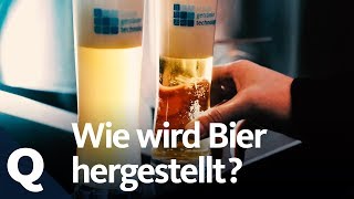 So wird Bier gebraut  Quarks [upl. by Hoebart]