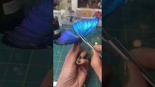 Another butterfly pinning method Morpho butterfly trending trendingshorts butterfly [upl. by Volkan196]