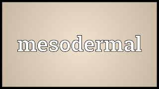 Mesodermal Meaning [upl. by Ynnob]