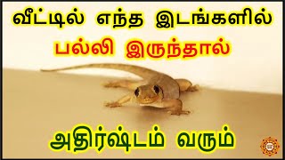 பல்லி நம் வீட்டில் எந்த இடங்களில் இருந்தால் என்ன பலன் [upl. by Ahseiym]