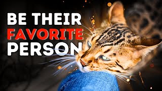 How Cats Choose Their Favorite And How to Become The One They Love [upl. by Atims]