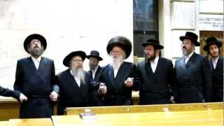 Munkatch Rebbe Dance W Reb Moshe Eliezer Ziegelman After Chanukkah Candle Lighting [upl. by Namron]