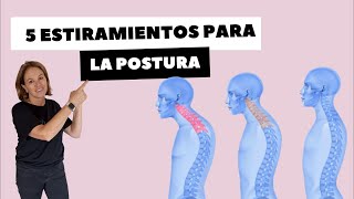 5 ESTIRAMIENTOS PARA LA POSTURA [upl. by Berger]