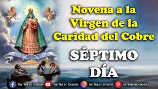 Novena a la Virgen de la Caridad del Cobre  Día 7 🙏 5 de Septiembre 2024 [upl. by Annaerdna]