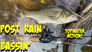 AUSSIE BASS Fishing After Heavy Rain [upl. by Erodaeht351]