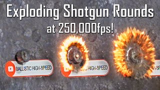 Exploding Shotgun Rounds at 250000FPS  Ballistic HighSpeed [upl. by Caz]