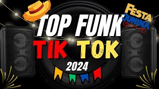 🎉TOP FUNK 2024  💥🎉 OS MELHORES FUNK MAIS TOCADOS TIK TOK 2024  💥 AS TOPS FUNK DO TIKTOK 2024 [upl. by Laverna923]