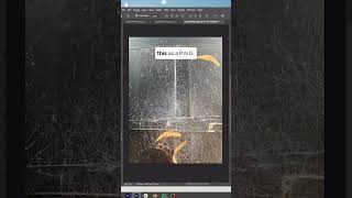 How To Make Valuable Photoshop Assets From Your Garden photoshop photoshoptutorial ai [upl. by Eldredge]