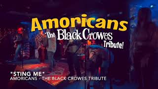 Sting Me  Amoricans The Black Crowes Tribute [upl. by Dogs]