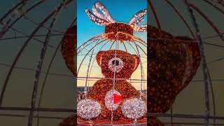 Belgium’s Christmas market christmas travelwithkannadigas europe belgium trendingshorts shorts [upl. by Johst]