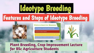 Ideotype breeding features and steps of ideotype breeding [upl. by Debarath399]