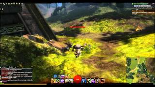 Quick Guide  Guildwars 2  Metrica Province  Luminates Plant Skill Point [upl. by Artied612]