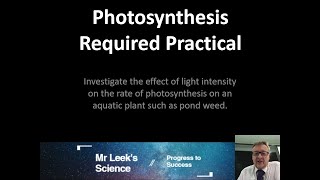 10 Photosynthesis Required Practical AQA GCSE Biology [upl. by Enyleve]