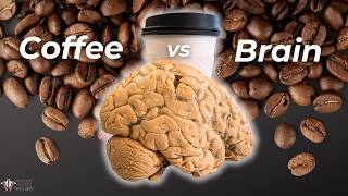 Do You Know What Coffee Does to Your Brain  Institute of Human Anatomy [upl. by Amluz]