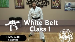 Shotokan Karate Follow Along Class  9th Kyu White Belt  Class 1 [upl. by Bouton60]