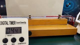 Transpiration Potometer Timelapse [upl. by Amsirahc]