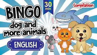 BINGO dog and more animals  30 minutes of Nursery Rhymes and Songs for Childrens  Bingo  4k [upl. by Neyud88]