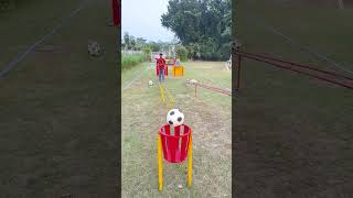 football accuracy and a whole lot of fun [upl. by Atileda]