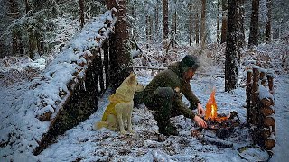 BLIZZARD SNOWSTORM Winter Survival Bushcraft Shelter in Heavy Snow Secret in NATURAL SHELTER ASMR [upl. by Megan]