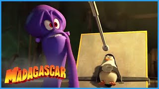 MADAGASCAR ESCAPE 2 AFRICA 2008 MOVIE REACTION FIRST TIME WATCHING Full Movie Review [upl. by Sontag]