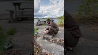 Kelly Kettle Hobo Stove Making coffee on a windy day [upl. by Berriman]