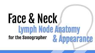 1 Lymph node anatomy physiology amp normal ultrasound appearance [upl. by Aleciram]