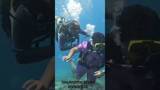 scubadiving lakshadweep kerala underwater [upl. by Ylime]