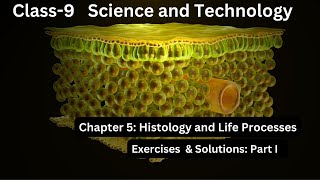 Class 9  Science and Technology  Chapter 5 Histology and Life Processes Exercises  Solutions [upl. by Sanford]