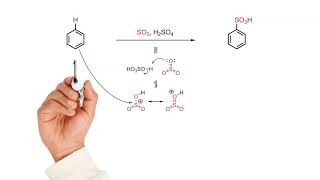 Sulfonation of benzene [upl. by Herahab218]