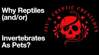 Why Reptiles andor Invertebrates As Pets [upl. by Nhguavaj]