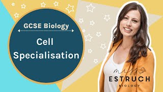 Cell Specilisation GCSE BIOLOGY Learn the structure and function of plant and animal cells [upl. by Nairadal917]