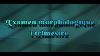 Examen morphologique 1 trimestre  part 2 [upl. by Haneeja]